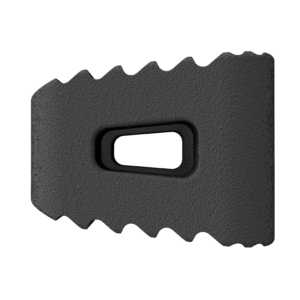 BRUEGEL™ Lumbar Fixation
